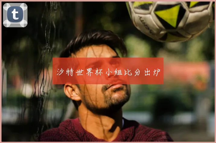 沙特世界杯小组比分出炉