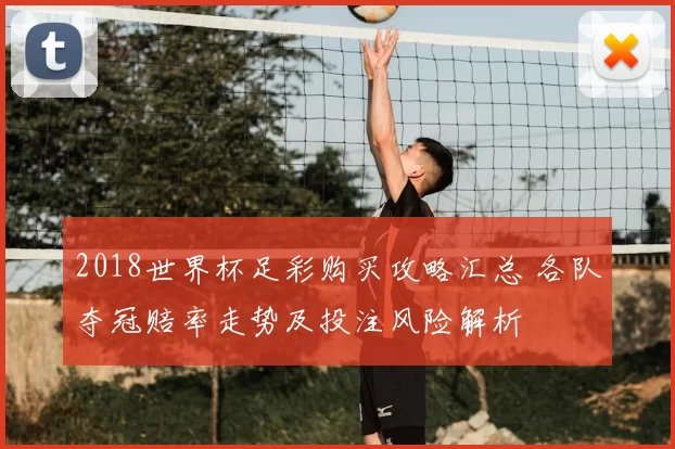 2018世界杯足彩购买攻略汇总 各队夺冠赔率走势及投注风险解析