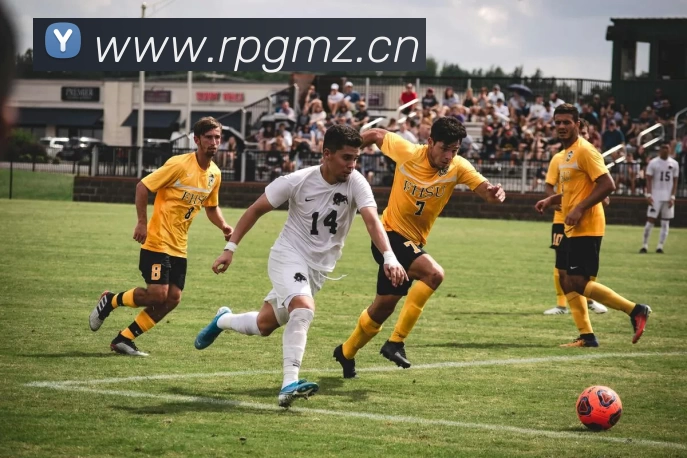 HTH体育官方网站(中国)有限公司APP 封面图